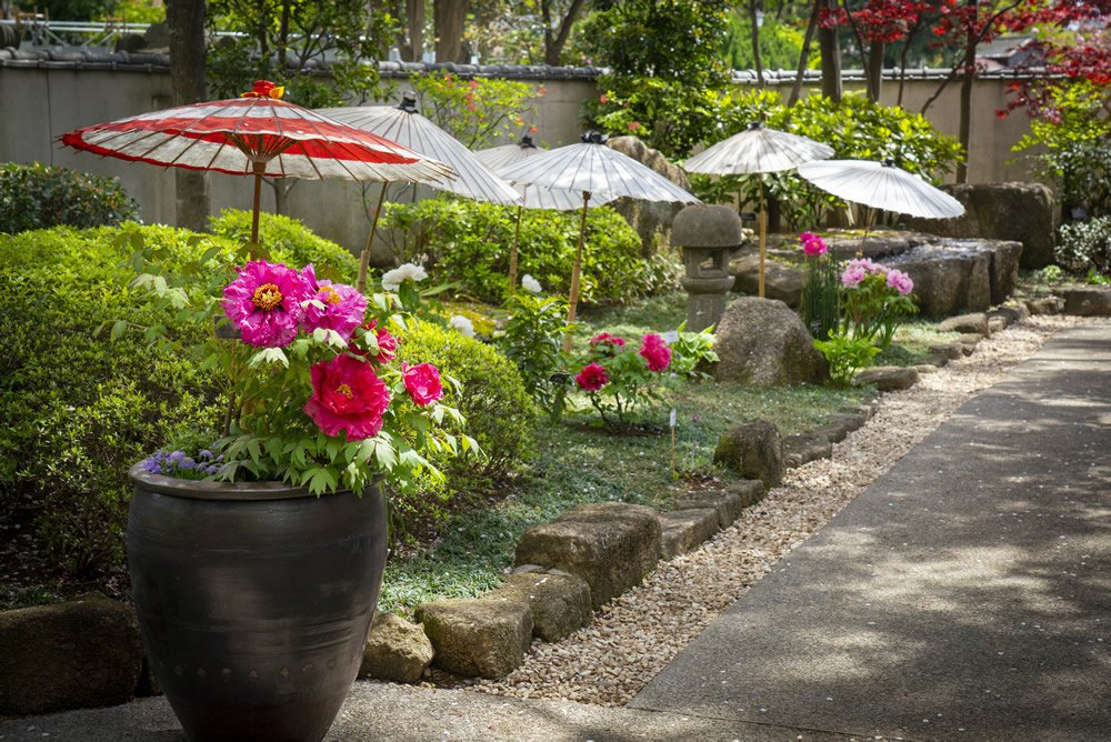 ⛩️ 우에노 동조궁(우에노 토쇼구) 이미지 9